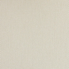 White/Linen